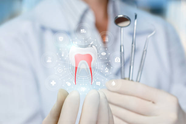 Madeira Beach, FL  Holistic Dental Services Company